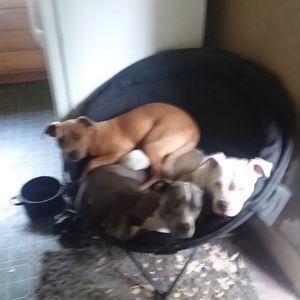 Meet your Posher, Sue